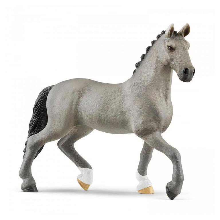 Étalon Selle Français : Le Champion des Sauts d'Obstacles Neuf