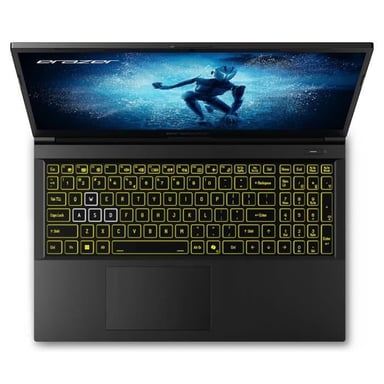 PC Portable Gamer  Deputy P60i MD62641 - Windows 11 - 15,6 FHD IPS 144Hz - RTX 4060 - Core i7-12650H - RAM 16Go - 1To SSD