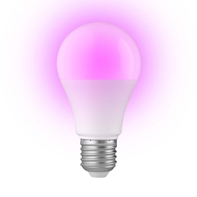 Ampoule Connectée SMARTBULB10 LED Couleur avec Wi-Fi E27 9W Blanc