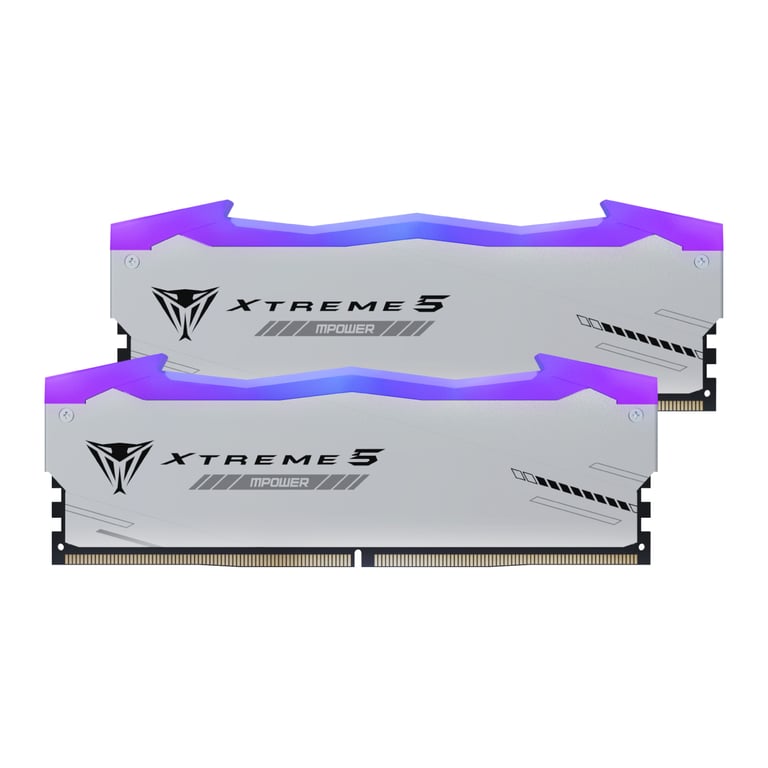 Patriot Memory Viper Xtreme 5 PVXR548G80C38KM module de mémoire 48 Go 2 x 24 Go DDR5 Neuf