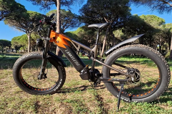 VTT électrique Lankeleisi RV800 Plus 750 W, batterie 48 V 20 Ah