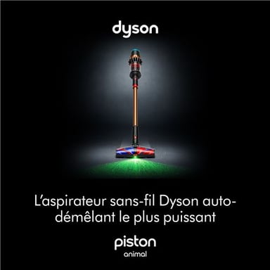 V16 Piston Animal Submarine - Aspirateur 900W Argent Or