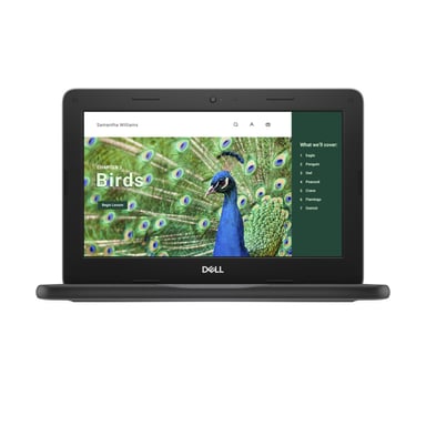 DELL Chromebook 3120 Intel® N N100 29,5 cm (11.6'') Pantalla táctil HD 4 GB LPDDR5-SDRAM 64 GB eMMC Wi-Fi 6 (802.11ax) ChromeOS Nórdico Negro