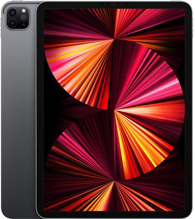 Apple - iPad Pro (2021) - 11 - WiFi - 256 Go - Gris Sidéral
