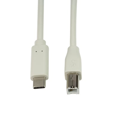 LogiLink CU0161 câble USB USB 2.0 2 m USB C USB B Gris