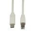 LogiLink CU0161 câble USB USB 2.0 2 m USB C USB B Gris
