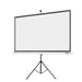 Schermo di proiezione Acer M87-S01MW 2,21 m (87'') 1:1
