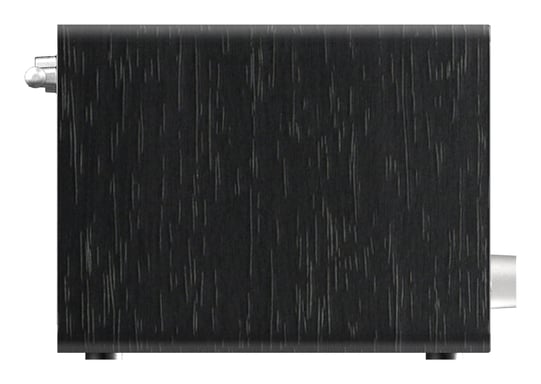 Panasonic RF-D40EG-K radio Portátil Digital Negro