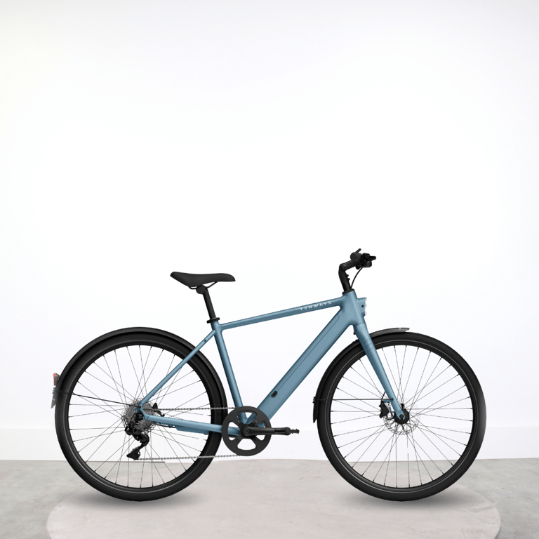 Vélo Électrique Tenways CGO600 Plus PG Idéal pour Vos Déplacements Quotidiens