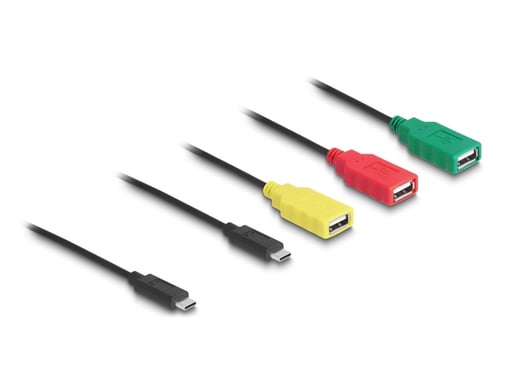 DeLOCK Concentrador de cables USB 2.0 de 4 puertos USB Type-C a 3 x USB-A hembra + 1 x USB-C macho
