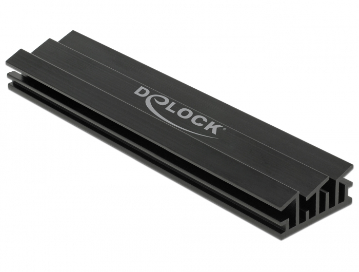 DeLock Dissipateur de chaleur 100 mm pour module .2 - vue 2