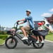 Bicicleta eléctrica de carga ENGWE LE20 de 250 W con sensor de par y transmisión central, 20'', con batería de 48 V y 19,2 Ah-Gris