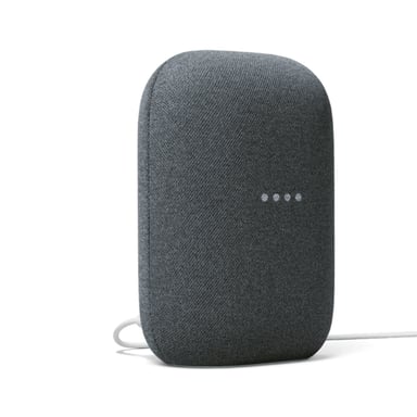 Assistant vocal Google Nest Audio Charbon