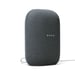 Assistant vocal Google Nest Audio Charbon