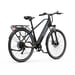 Vélo électrique DUOTTS C29Lite, moteur 250 W, batterie 36 V 13 Ah
