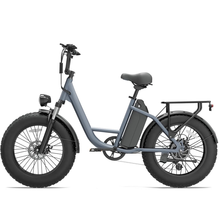 Vélo Électrique URLIFE E20 PRO 750W – Batterie Amovible 48V15.6Ah