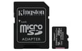 Kingston Technology Carte micSDXC Canvas Select Plus 100R A1 C10 de 256 Go + ADP