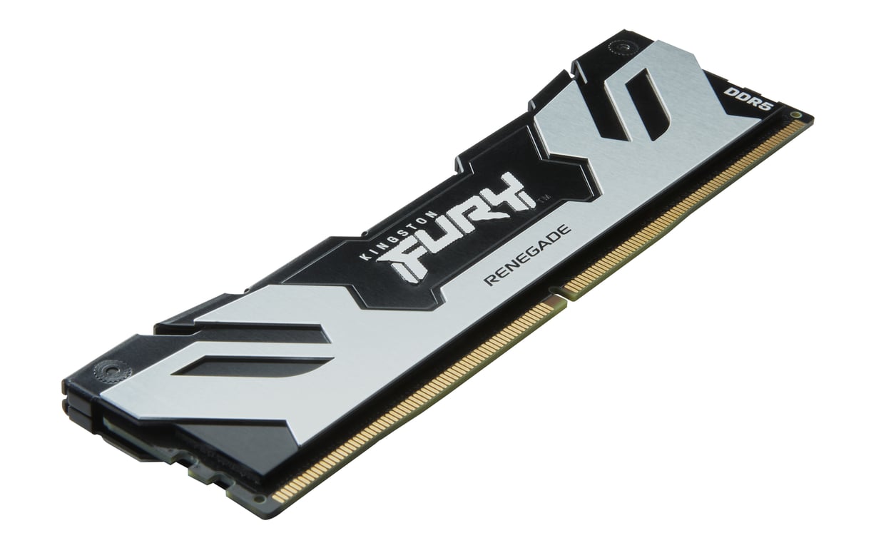 Kingston Technology FURY 24 Go 7200 MT/s DDR5 CL38 DIMM Renegade Argent XMP - Neuf