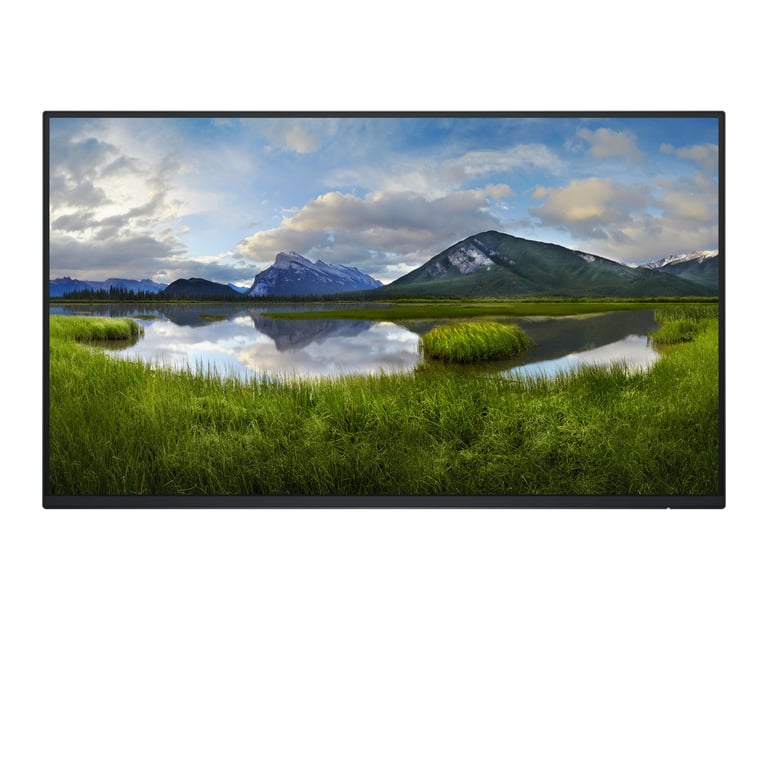 DELL Monitor da 23,8 pollici P2425H WOST IPS 1920x1080/169/DP/HDMI/USBC/VGA/USB/NO Stand/3Y - Neuf