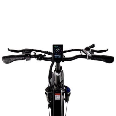 Bici elettrica pieghevole PIXAR Star1 da 20 pollici, batteria da 250 W, 48 V e 15 Ah