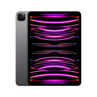 iPad Pro 4e génération 11'' Puce M2 (2022), 256 Go - WiFi + Cellular 5G - Gris sidéral