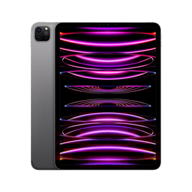 iPad Pro di quarta generazione 11'' Chip M2 (2022), 256 GB - WiFi + Cellular 5G - Grigio Sidel