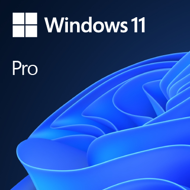 Microsoft Windows 11 Pro 64 bits (FR)