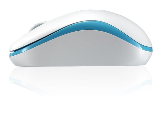 Rapoo M10 Plus Mouse ottico senza fili RF ambidestro 1000 DPI