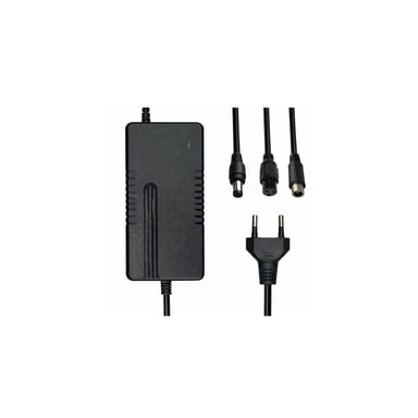 CARICATORE UNIVERSALE 48V/48V per Monopattino Elettrico