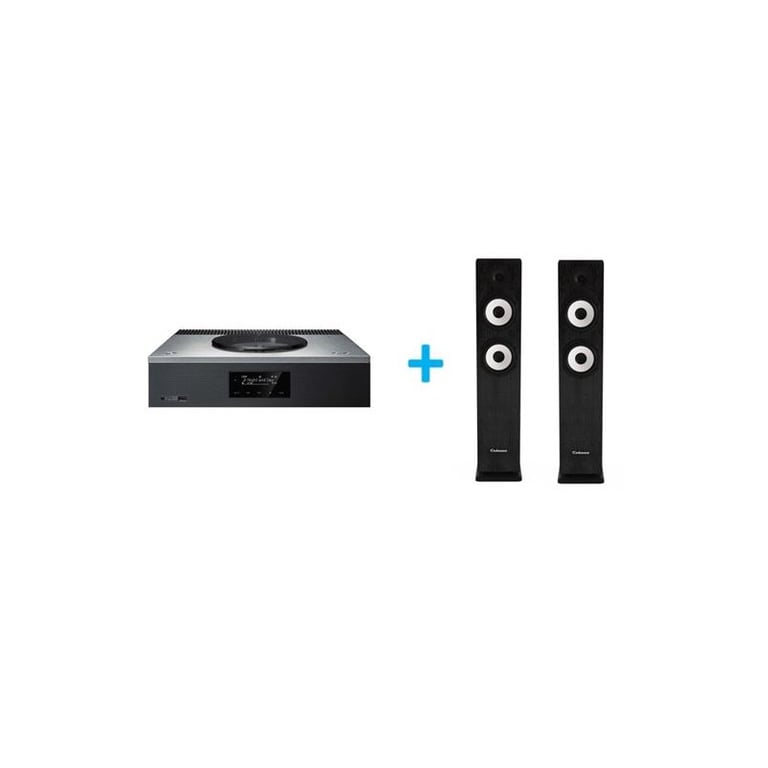 Amplificateur Hi Fi Technics SA C600EG + une paire d'enceintes colonne Cabasse Jersey MT322 Ebène - vue 2