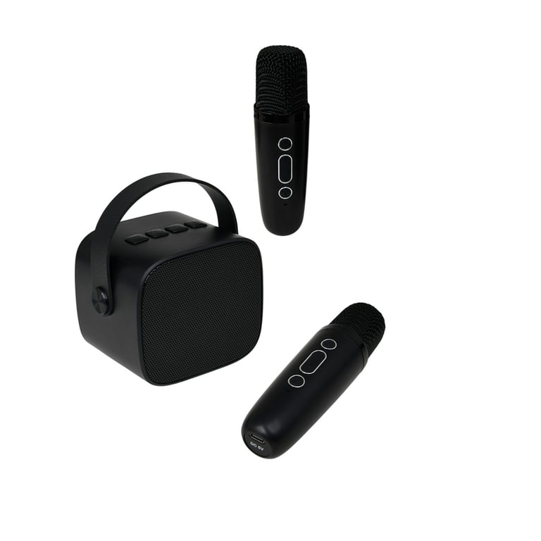 Enceinte Bluetooth 5.1 avec 2 Micro karaoké Sans Fil Modèle Party Btmic Neuf - vue 4
