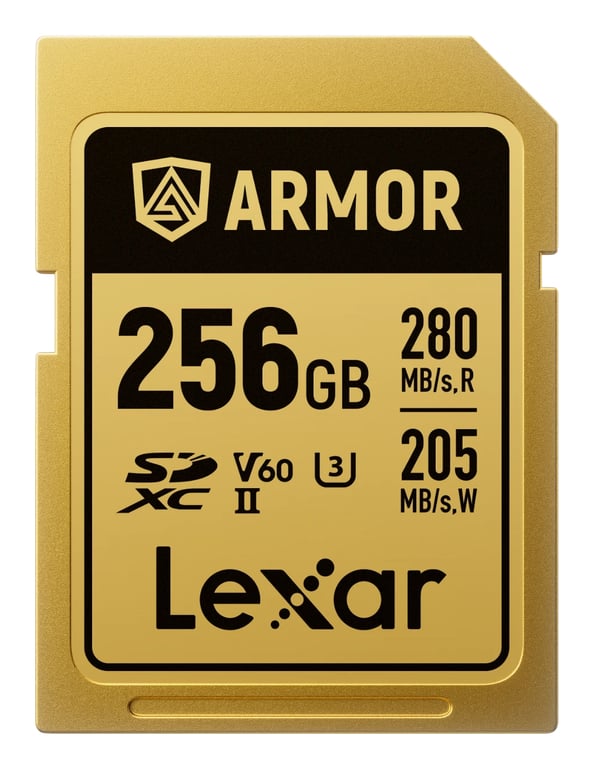 LEXAR SDXC PRO GOLD ARMOR 256 V - vue 1