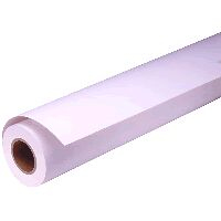 Epson Pap Photo Premium Glacé 250 16 0 406x30 5m Neuf