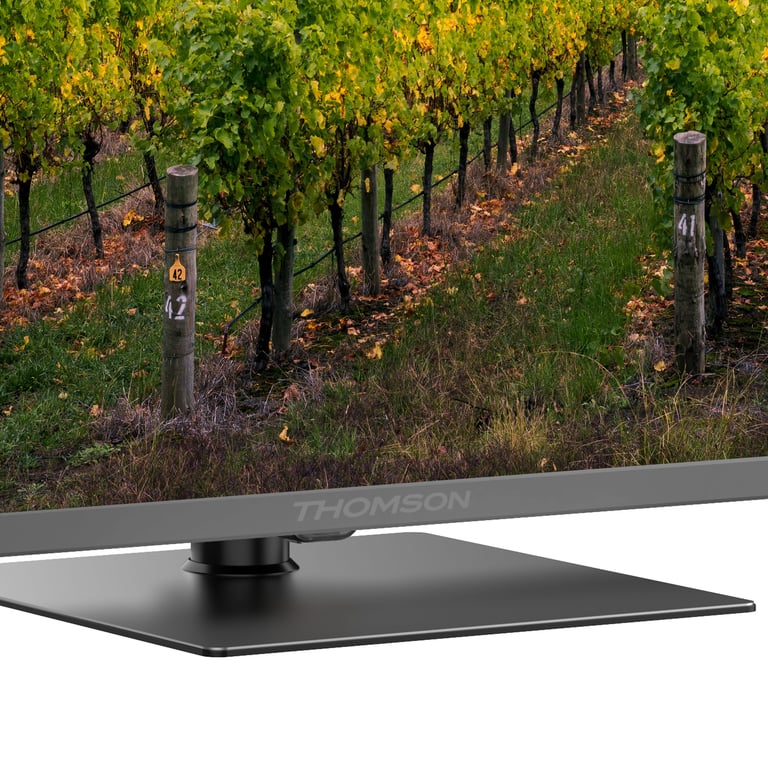 THOMSON 65QG5C14 - vue 4