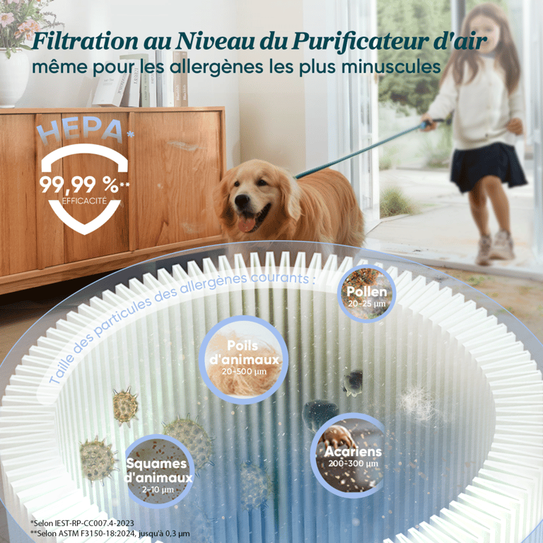 LEVOIT Aspirateur sans fil Levoit LVAC 300 PLUS avec une brosse anti emmêlement moteur de et tête flexible à 180°. Neuf - vue 2