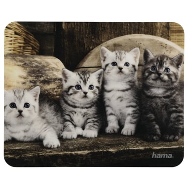 Hama Animal Multicolore