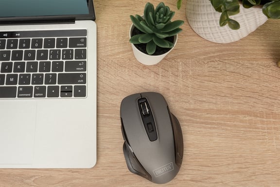 Digitus Wireless Optical Mouse, 6 botones, Ergonomic