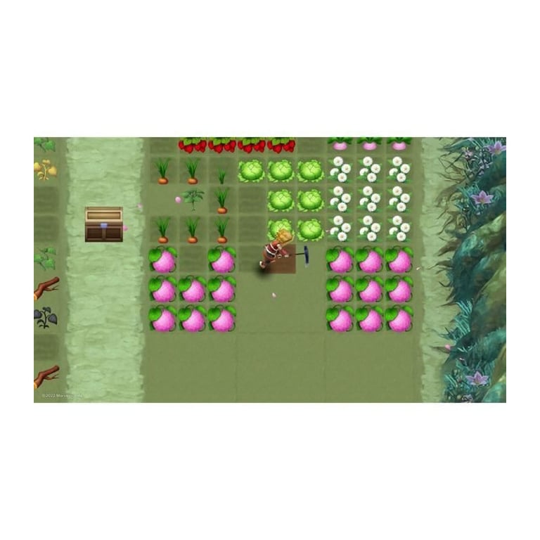 Rune Factory 3 Special Jeu Nintendo Switch - vue 3