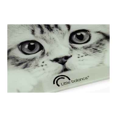 La bilancia Cat 180kg 100g