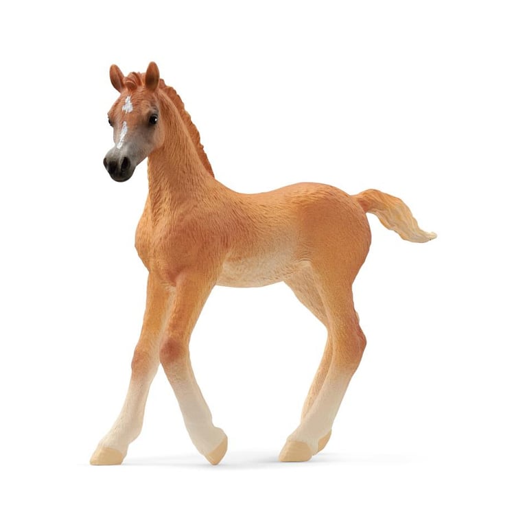 Figurine de Poulin Arabe Noble Cheval de Course Neuf