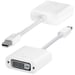 Mobility Lab Mini DisplayPort/DVI Blanc