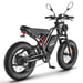 Vélo électrique FAFREES F20 Ultra (Homologation UE L1e-B) - Moteur 750 W batterie 48V25Ah pneu large 20 pouces Freins hydrauliques - Gris