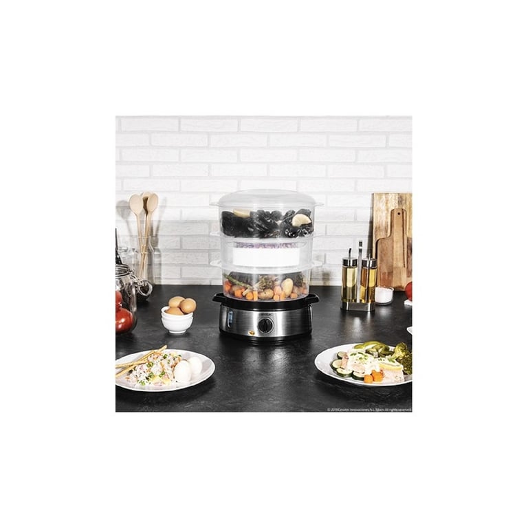 CECOTEC 04109 - Cuit-vapeur Vapovita 3000 Inox - Neuf