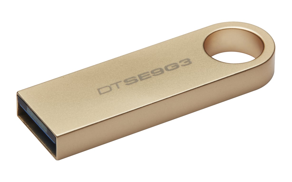 Kingston Technology DataTraveler 64Go 220Mo/s Clé USB 3.2 Gen 1 Métal SE9 G3 - Neuf