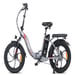 Vélo Électrique FAFREES F20 - 250W Batterie 576WH Autonomie 70KM - Gris