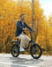 HillMiles MilePort 1 Bicicletta elettrica - Motore 250W Batteria 36V13Ah Pneumatici da 20 pollici Freni a disco meccanici - Verde