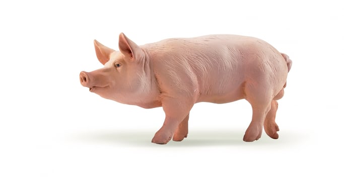 Papo 33015 figura de acción y colleccionable