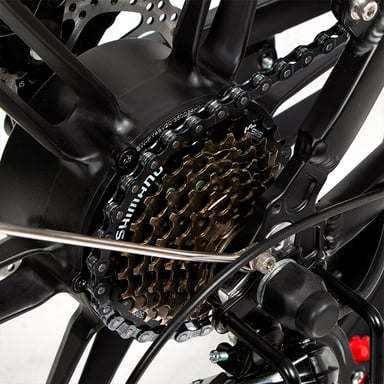 SAMEBIKE 20LVXD30-II Bici elettrica pieghevole da 20'' Bici elettrica pieghevole da 350 W Motore da 48 V Batteria da 10 Ah