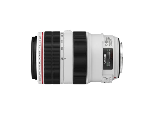 Canon EF 70-300mm f/4-5.6L IS USM SLR Objetivo telefoto zoom Negro, Blanco