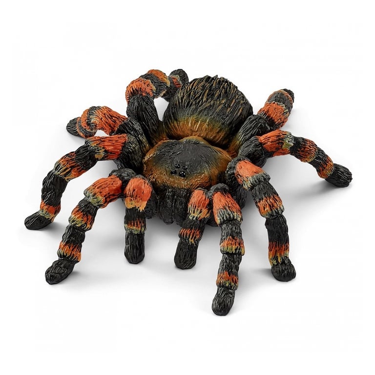 Mygale 14829 Une araignée fascinante et fascinante Neuf